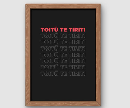 Toitū Te Tiriti